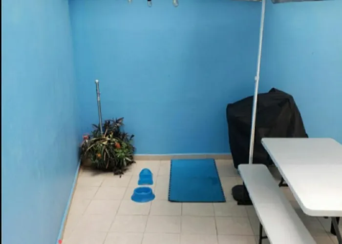 Apartamento Terraza, Centrico Wtc, Condesa, Pet Friendly